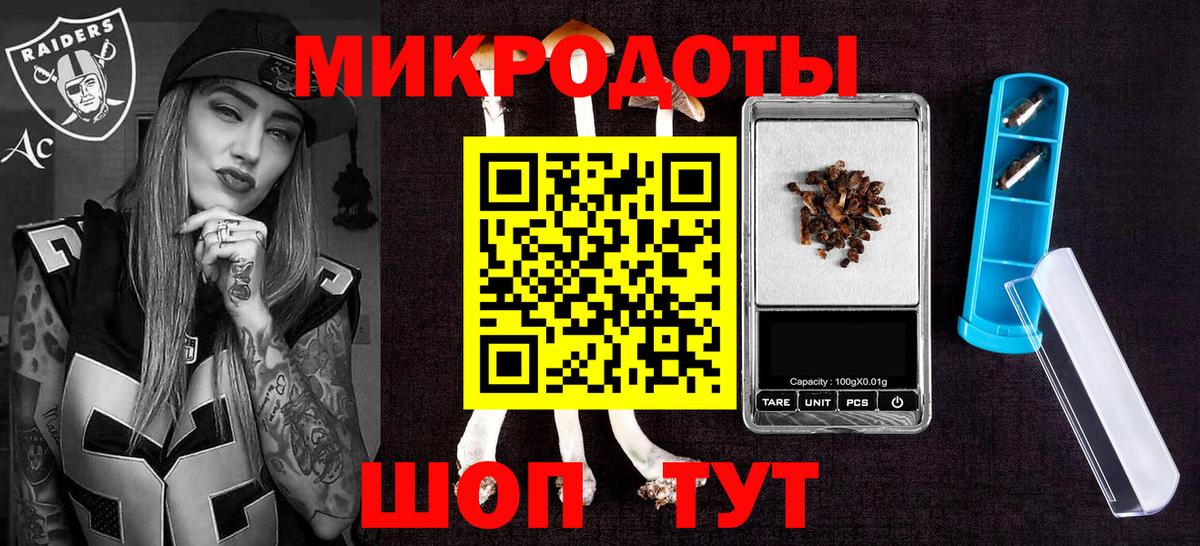 Псилоцибиновые грибы Psilocybe Абинск