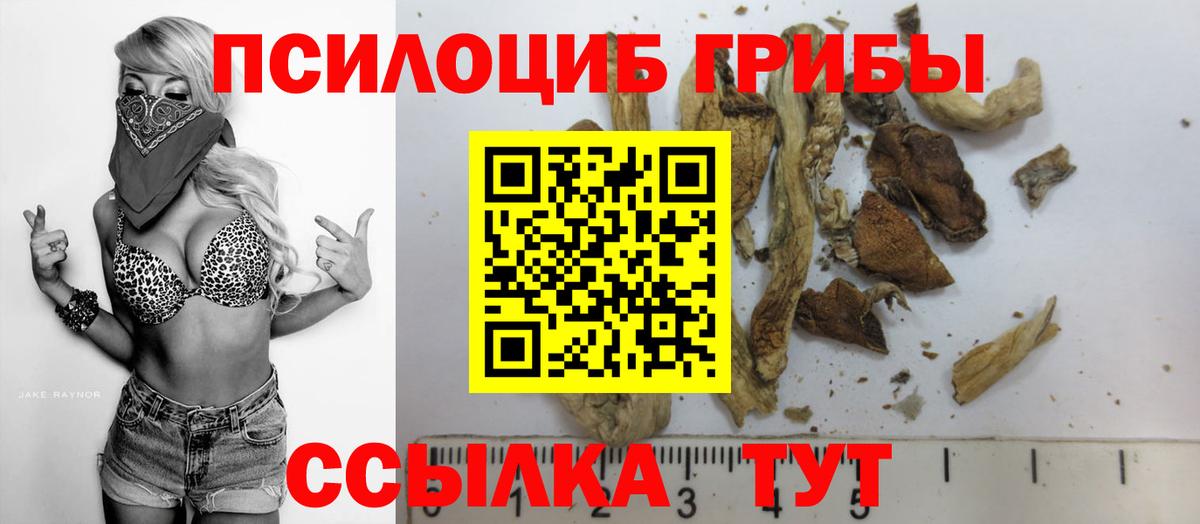 Псилоцибиновые грибы мицелий  Вход с VPN  Абинск  Галлюциногенные грибы Cubensis 